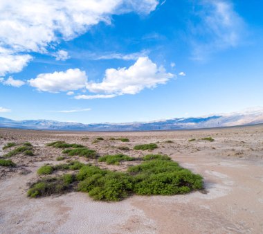 Sandy and Salty Death Valley Ground. Mountain in Background