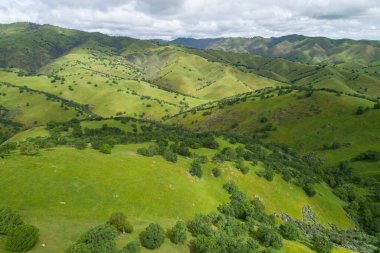 Yukarı Cottonwood Creek Vahşi Yaşam Bölgesi. Güzel Doğa ve Manzara. Bulutlu Gökyüzü 'nün olduğu yeşil alan. San Luis Barajı 'na yakın.