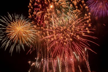 Brightly Colorful Fireworks Light Up the Sky. Beautiful New Year Fireworks. Dark Sky. Explosion. Abstract Colored Firework Background