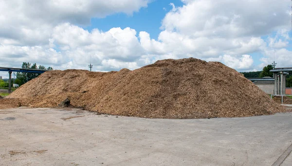 Wood Chips Shavings Ground Sawdust Wood Processing Waste Granulated Wooden — Stock Photo, Image
