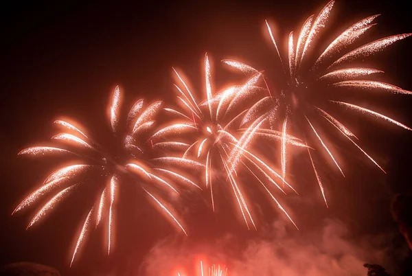 Brightly Colorful Fireworks Light Sky Beautiful New Year Fireworks Dark — Fotografia de Stock