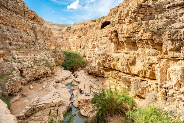 Oasis Prat River Israel Wadi Qelt Valley West Bank Originating — стоковое фото