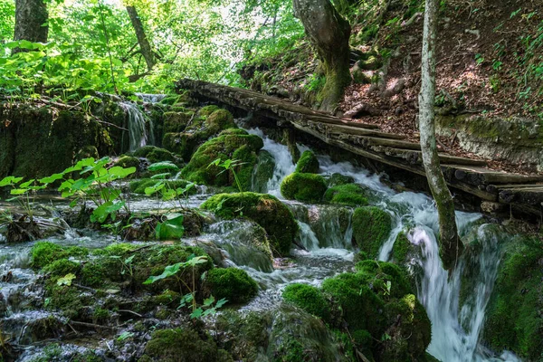 Plitvice Lakes Croatia Sightseeing Place Very Popular Tourists Beautiful Landscape — Fotografia de Stock
