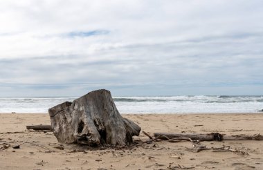 Pomponio State Beach is a state beach of California in the United States. It is located 12 miles south of Half Moon Bay off California State Route 1