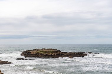 Pescadero State Beach in California, USA. Island with Birds and Ocean Waves