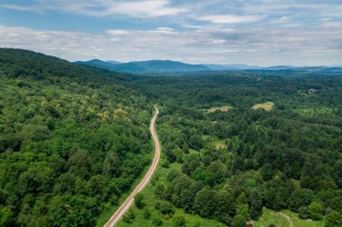 Croatia Landscape with Forest and Mountain in Background. Cloudy Sky with Railway