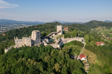 Celje Castle is a castle ruin in Celje, Slovenia, formerly the seat of the Counts of Celje. It stands on three hills to the southeast of Celje, where the river Savinja meanders into the Lasko valley clipart