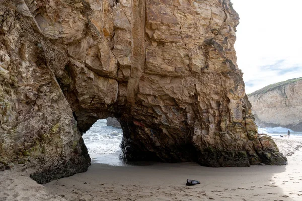 Shark Fin Cove Beach in California, USA. Bonny Doon Beach and Shark Fin Cove Loop is a 2.4 mile moderately trafficked loop trail located near Davenport, California. features beautiful wild flowers