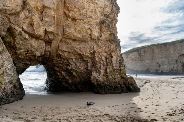 Shark Fin Cove Beach in California, USA. Bonny Doon Beach and Shark Fin Cove Loop is a 2.4 mile moderately trafficked loop trail located near Davenport, California. features beautiful wild flowers