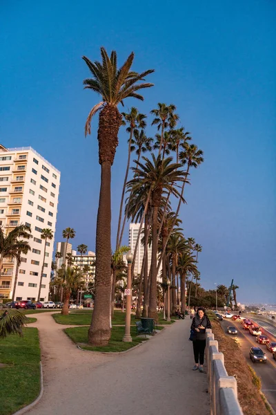 Santa Monica Kalifornien März 2019 Stadtbild Von Santa Monica Und — Stockfoto