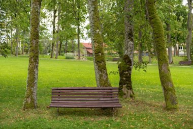Brown Wooden Bench in The Park. Green Grass and Trees in Background