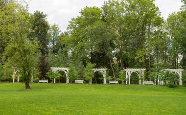 White Wooden Bench in The Park. Green Grass and Trees in Background