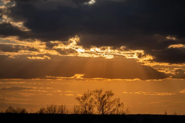 Drama Sunset Sky Com Árvore Primeiro Plano Luz Solar Amarela — Fotografia de Stock
