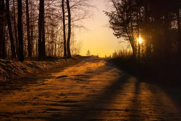 Piękne Światło Droga Zachód Słońca Tle Ludzie Wychodzą Lasu Dobry — Zdjęcie stockowe