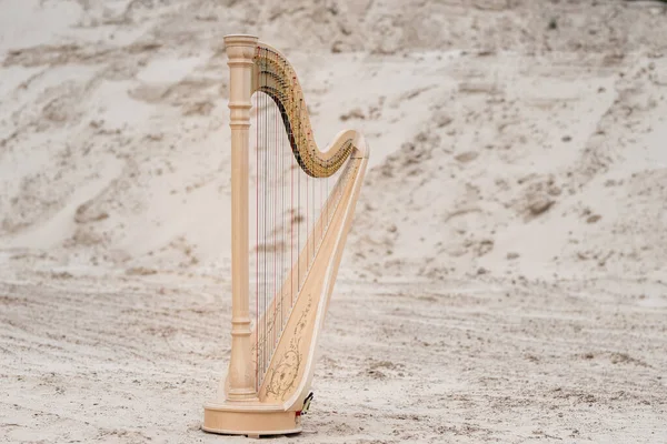 Luxury Harp Music Instrument Outdoor — Fotografia de Stock