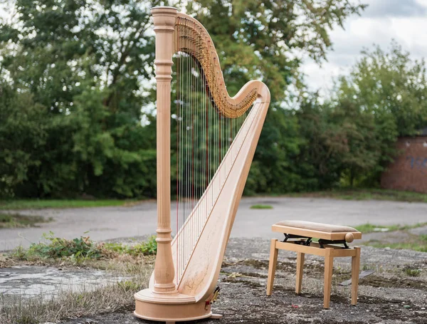 Luxury Harp Music Instrument Outdoor — Stockfoto