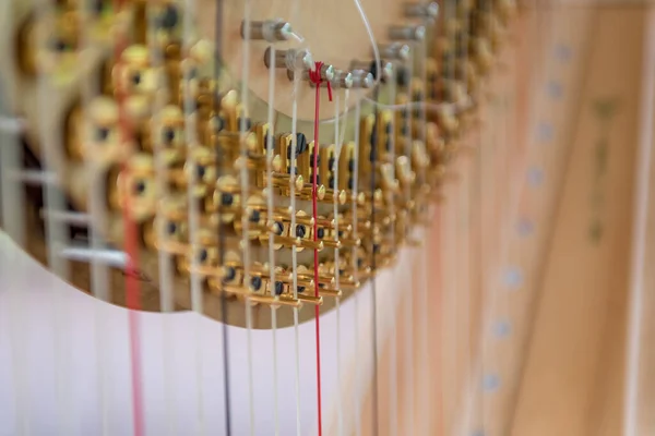 Luxury Harp Music Instrument Close Chord String — Fotografia de Stock