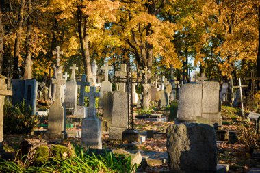 Old Cemetery in Lithuania, Europe. Autumn Leaves and Tree in Background