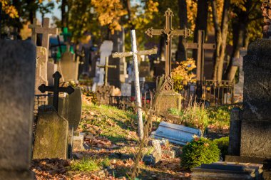 Old Cemetery in Lithuania, Europe. Autumn Leaves and Tree in Background
