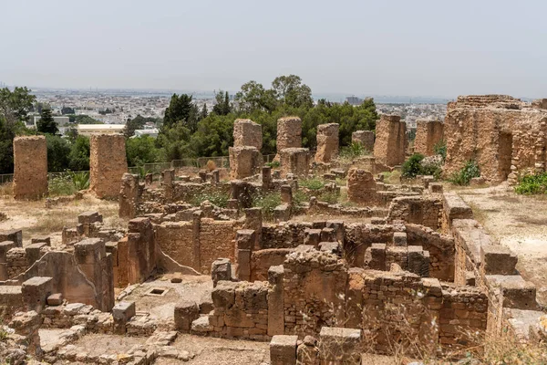 Byrsa Carthage Tunisia Byrsa Walled Citadel Phoenician Harbour Ancient Carthage — Fotografia de Stock