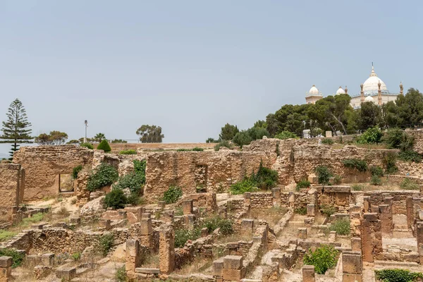 Byrsa Carthage Tunisia Byrsa Walled Citadel Phoenician Harbour Ancient Carthage — Foto Stock