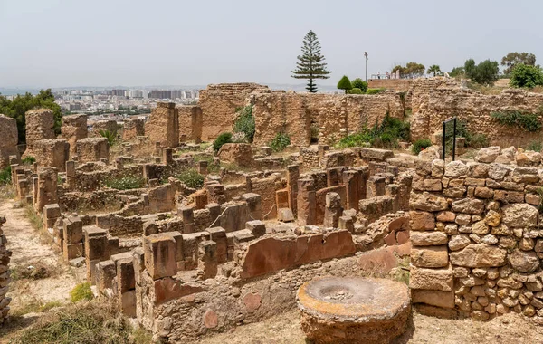 Byrsa Carthage Tunisia Byrsa Walled Citadel Phoenician Harbour Ancient Carthage — Stock Photo, Image
