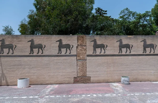 Colorful Wall Carthage National Museum Tunisia — Stockfoto