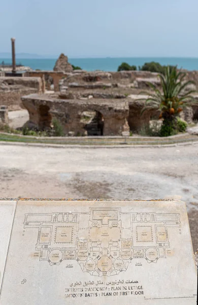 Map Baths Antoninus Baths Carthage Tunis Tunisia Vastest Set Roman — Stock Photo, Image