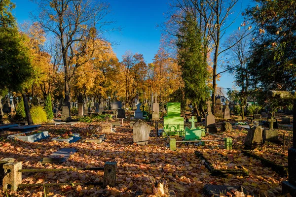 ヨーロッパのリトアニアにある古い墓地 背景に紅葉と木 — ストック写真