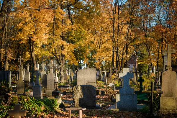 Alter Friedhof Litauen Europa Herbstblätter Und Baum Hintergrund — Stockfoto