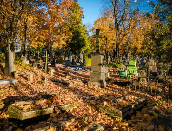 Oude Begraafplaats Litouwen Europa Herfst Bladeren Boom Achtergrond — Stockfoto