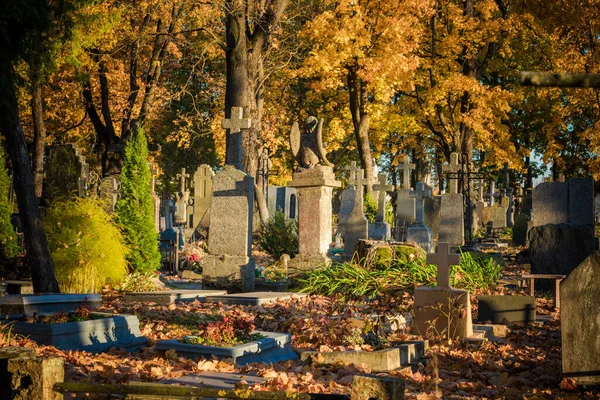 Old Cemetery Lithuania Europe Autumn Leaves Tree Background — Stock fotografie