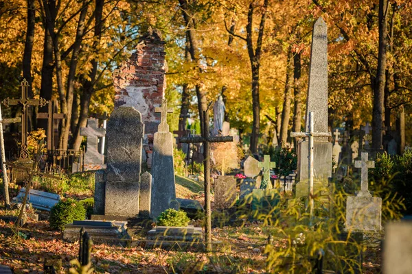 Old Cemetery Lithuania Europe Autumn Leaves Tree Background — Foto Stock