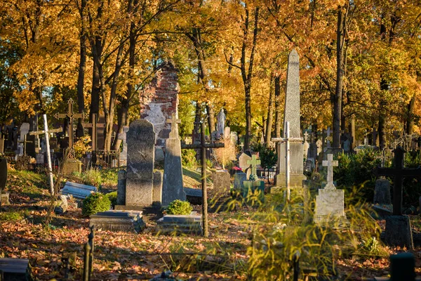 Oude Begraafplaats Litouwen Europa Herfst Bladeren Boom Achtergrond — Stockfoto