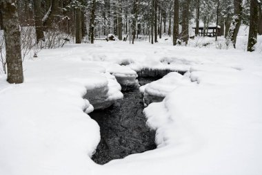 Snowy Winter Landscape with River in Forest. Flowing Water and Breaking Ice. Nature