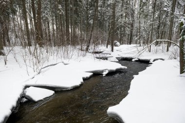 Snowy Winter Landscape with River in Forest. Flowing Water and Breaking Ice. Nature