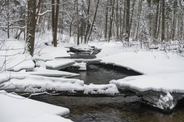 Snowy Winter Landscape with River in Forest. Flowing Water and Breaking Ice. Nature
