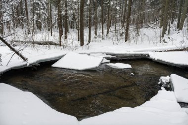 Snowy Winter Landscape with River in Forest. Flowing Water and Breaking Ice. Nature