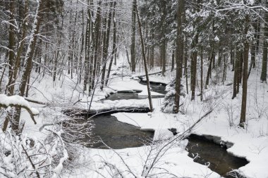 Snowy Winter Landscape with River in Forest. Flowing Water and Breaking Ice. Nature