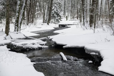 Snowy Winter Landscape with River in Forest. Flowing Water and Breaking Ice. Nature