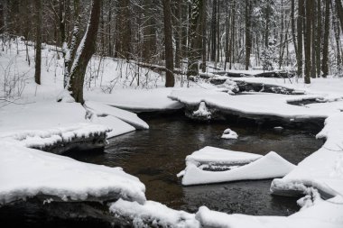 Snowy Winter Landscape with River in Forest. Flowing Water and Breaking Ice. Nature