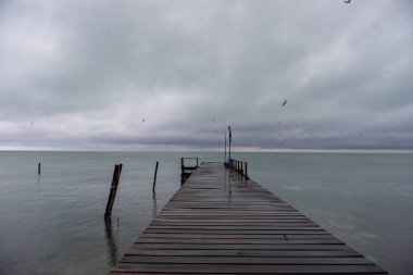 Flying Birds above the Caribbean Sea in Caye Caulker. Belize. Caribbean Island