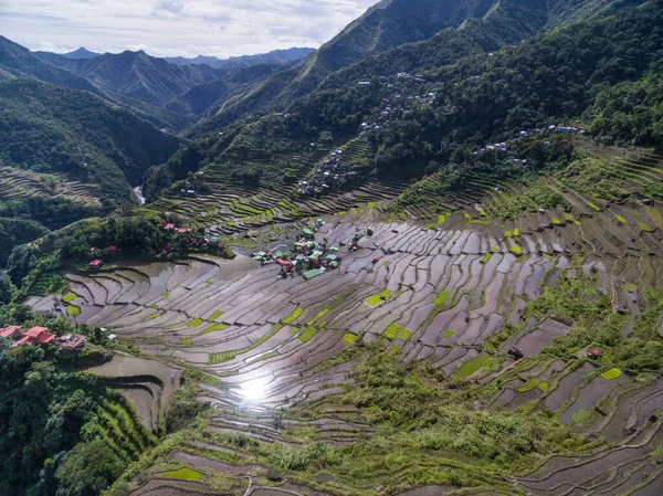 Banaue Rice Terrazas Filipinas Paisaje Naturaleza — Foto de Stock