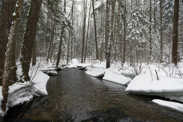 Snowy Winter Landscape River Forest Flowing Water Breaking Ice Nature — Zdjęcie stockowe
