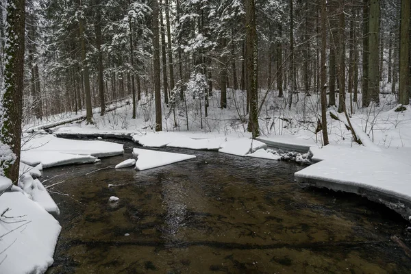 Śnieżny Krajobraz Zimowy Rzeką Lesie Płynąca Woda Łamanie Lodów Przyroda — Zdjęcie stockowe