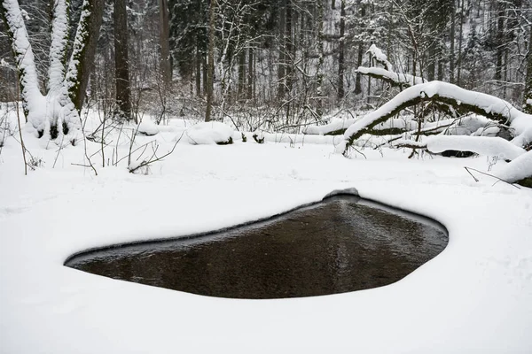 Śnieżny Krajobraz Zimowy Rzeką Lesie Płynąca Woda Łamanie Lodów Przyroda — Zdjęcie stockowe