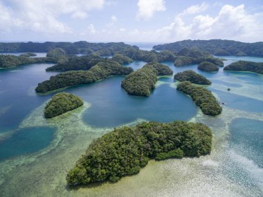 Beautiful Palau Landscape and Nature.