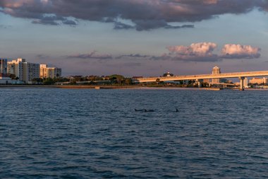 Sunset in Clearwater Beach, Florida. USA