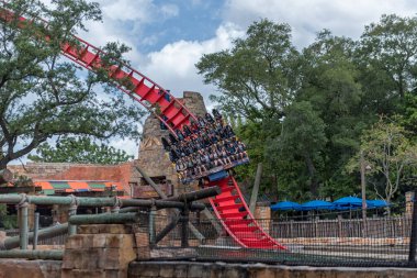 Busch Gardens Tampa Körfezi 'nde. Florida mı? ABD