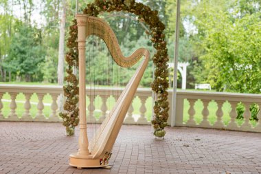 Lüks Harp Müzik Enstrümanı. Açık havada. Çiçekler ve Park Arka planda